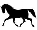 Horse running isolated silhouette vector