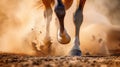 The horse is running, only its legs are visible, from under its hooves there is dust and sand. Horse in motion. Royalty Free Stock Photo