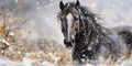 A horse is running through a snowy winter landscape. Watercolor illustration Royalty Free Stock Photo