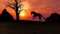 Horse Running under Sunset in the Desert Royalty Free Stock Photo