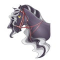 Horse's head with a bridle