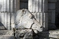 The horse`s head carved out of limestone stone on the background of columns of the same material