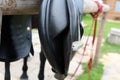 Horse Saddle Detail. Summer Royalty Free Stock Photo