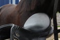 Horse Saddle Detail. Summer Royalty Free Stock Photo