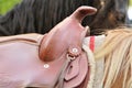 Horse Saddle