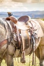 Horse saddle on the ranch Royalty Free Stock Photo