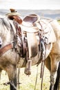 Horse saddle on the ranch