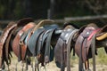Horse saddles Royalty Free Stock Photo