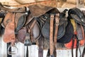 Horse saddles in stable Royalty Free Stock Photo