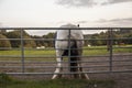 Horse Scratching ass Royalty Free Stock Photo