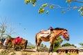 Horse service traveler at countryside of Thailand at Santichon v