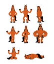 Horse set poses. Steed happy and yoga. hoss sleeping and angry. guilty and sad. Vector illustration