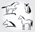 Horse set. Vector Royalty Free Stock Photo