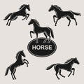 Horse set. Vector Royalty Free Stock Photo