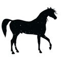 horse shadow animal icon silhouettes isolated on dark black graphical in white Royalty Free Stock Photo