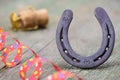 Horse shoe as talisman for new year Royalty Free Stock Photo