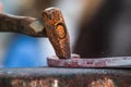 Horse shoe being crafted by blacksmith/farrier Royalty Free Stock Photo