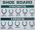 Horse Shoe Board