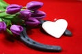 Horse shoe with a heart in tulips, on red ground