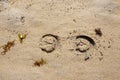 Horse shoe imprint on a warm sand. Equestrian abstract background