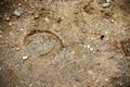 Horse shoe print on sandy road with tyny stones and pebbles Royalty Free Stock Photo