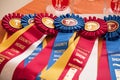 Horse Show Award Ribbons Royalty Free Stock Photo