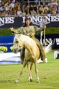Horse show Royalty Free Stock Photo
