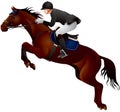 Horse Show jumping Royalty Free Stock Photo