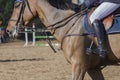 Horse Show Jumping Detail Royalty Free Stock Photo