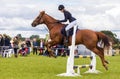 Horse Show Jumping Event. Gymkhana. Royalty Free Stock Photo
