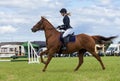 Horse Show Jumping Event. Gymkhana. Royalty Free Stock Photo