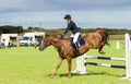 Horse Show Jumping Event. Gymkhana. Royalty Free Stock Photo