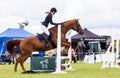 Horse Show Jumping Event. Gymkhana. Royalty Free Stock Photo