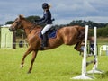 Horse Show Jumping Event. Gymkhana. Royalty Free Stock Photo