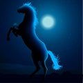 Horse Silhouette B Royalty Free Stock Photo