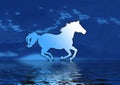 Horse Silhouette blue