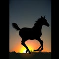 Horse Silhouette C Royalty Free Stock Photo