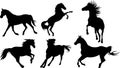 Horse Silhouette Collection Royalty Free Stock Photo