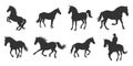 horse silhouette collection galloping rearing standing vector set Royalty Free Stock Photo