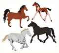 Horse, silhouette, drawing, animal, illustration, animals, rider, race, sport, black, sport, equestrian, horse riding, stallion, r
