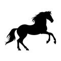 Horse silhouette icon in black color. Vector template for tattoo or laser cutting