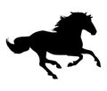 Horse silhouette isolated on white background Royalty Free Stock Photo