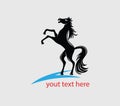 Horse Silhouette Logo