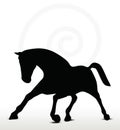 Horse silhouette Royalty Free Stock Photo