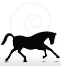 Horse silhouette Royalty Free Stock Photo