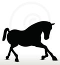 Horse silhouette Royalty Free Stock Photo