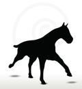 Horse silhouette in running position Royalty Free Stock Photo