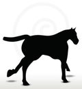 Horse silhouette in running position Royalty Free Stock Photo