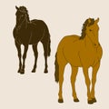 Horse silhouette set realistic Royalty Free Stock Photo