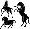 Horse Silhouette Set Royalty Free Stock Photo